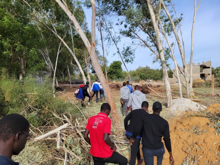 MBOUR-ENVIRONNEMENT : Les jeunes s'insurgent contre l’agression du poumon vert de Saly