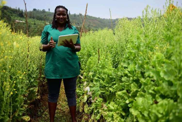 DEVELOPPEMENT DURABLE : La FAO lance une campagne de soutien aux startups innovantes de l’agroalimentaire