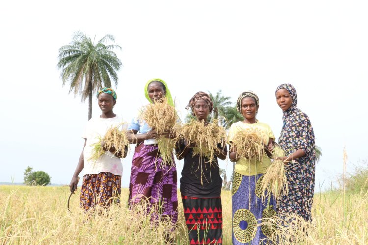 Agriculture : 300 Femmes de Diockoul Formées aux Techniques Agricoles Innovantes pour un Développement Durable