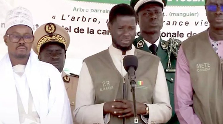 Journée nationale de reboisement : Le Président Bassirou Diomaye Faye magnifie l’engagement de "Touba Ca Kanam"